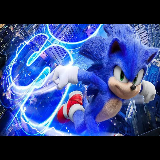 PANCARTA SONIC TELA 100*150CM FONDO