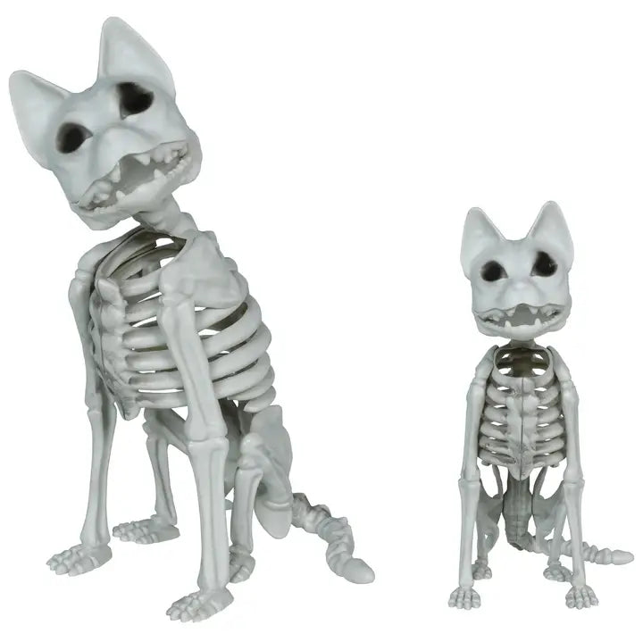 Esqueleto de Gato de PVC 37 cm para Halloween