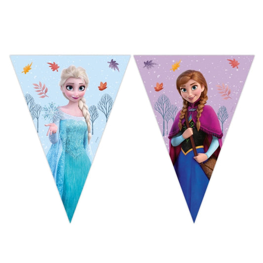 Banderín Papel Frozen Idílica FSC 2.3m